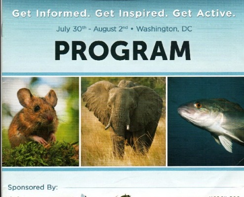 scan0016 copy-thumbnail