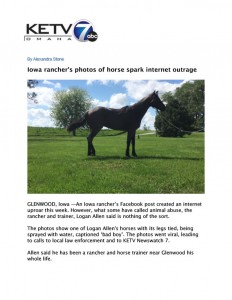 Horse Abuse Investigation
