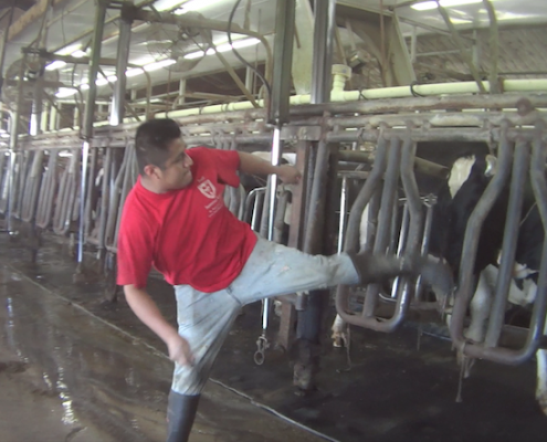 Larson Dairy Farm Florida