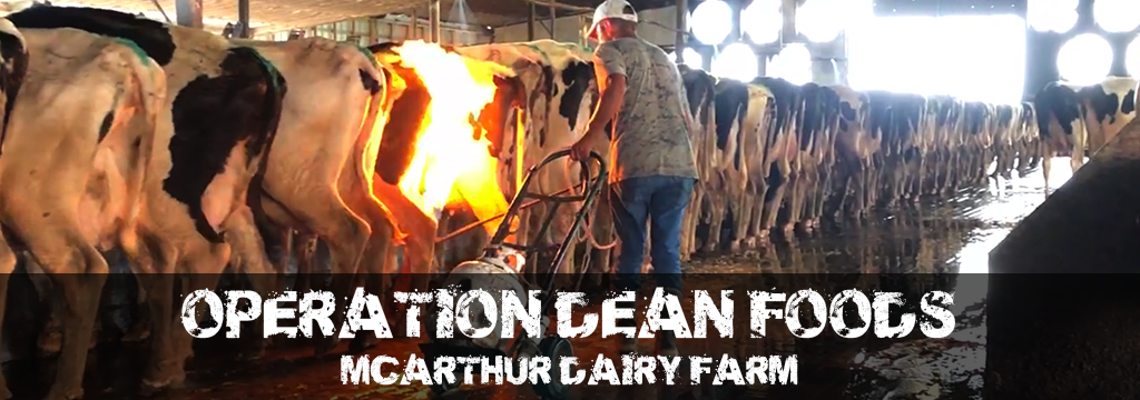 McArthur Dairy Farm