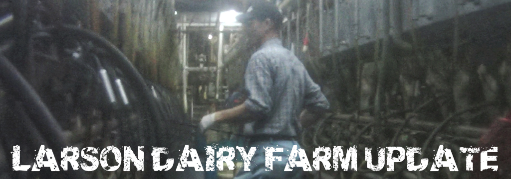larson dairy farm update