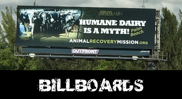 vegan billboards