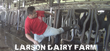 Larson Dairy Farm
