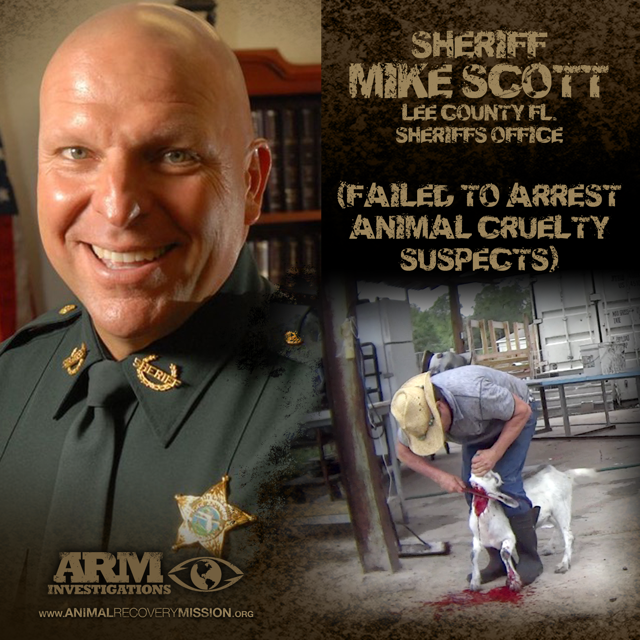 Sheriff Mike Scott - Animal Abuse in Lee County, Florida