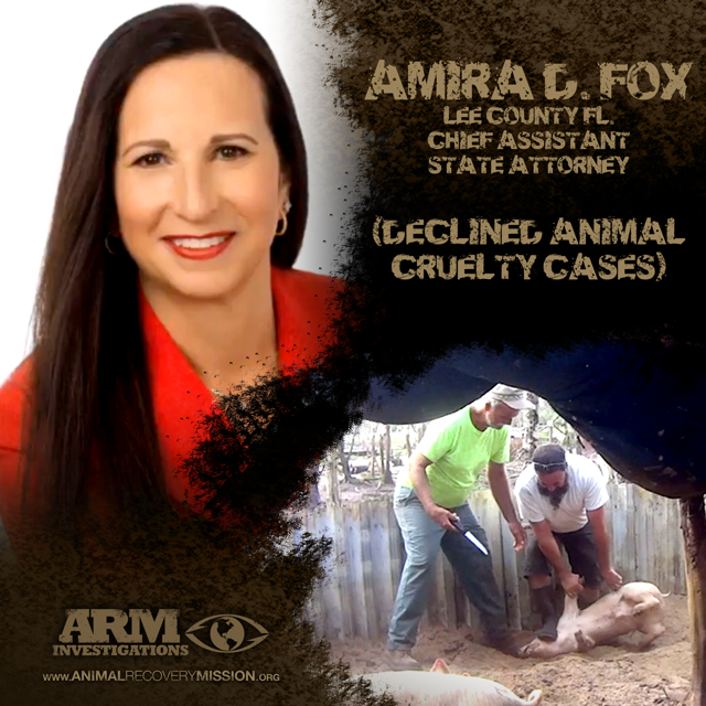 Amira Fox - Animal Abuse in Lee County, Florida
