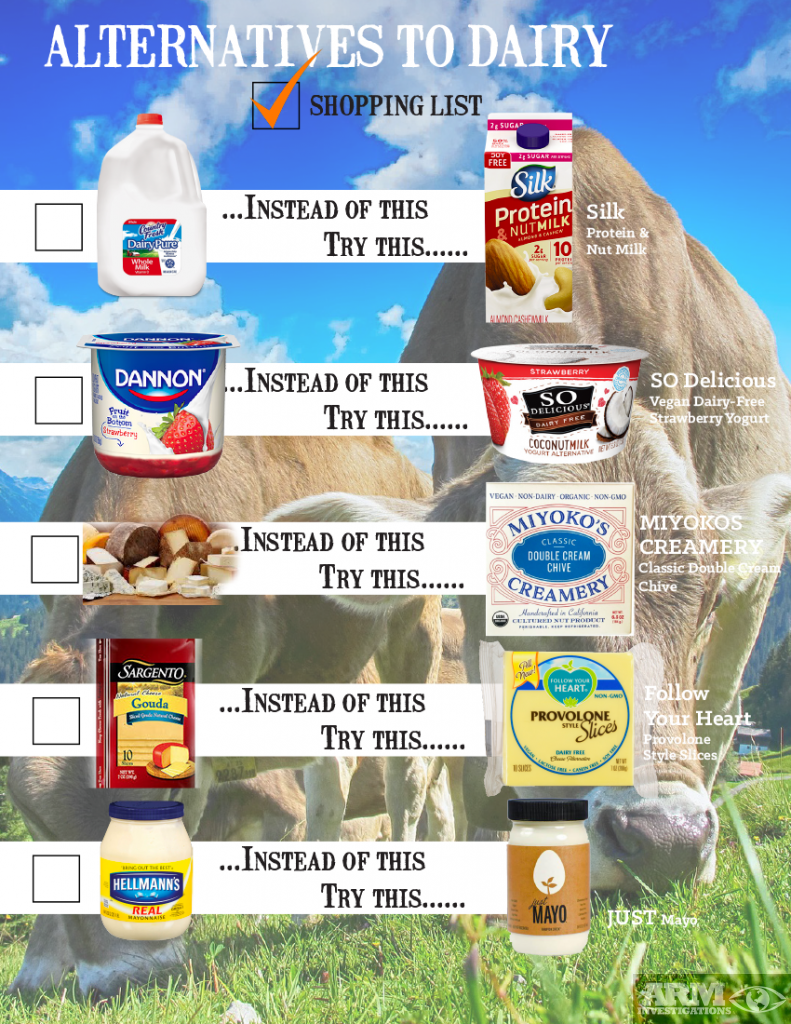 alternatives to dairy