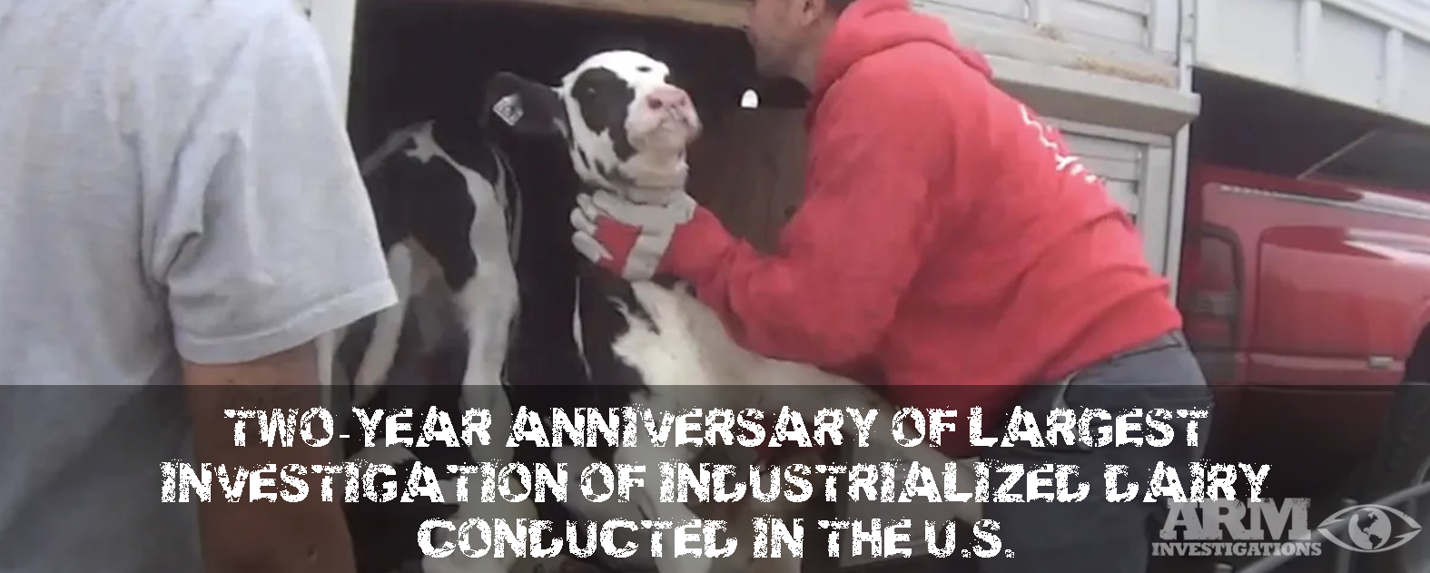 Two-year anniversary of largest investigation of industrialized dairy ...