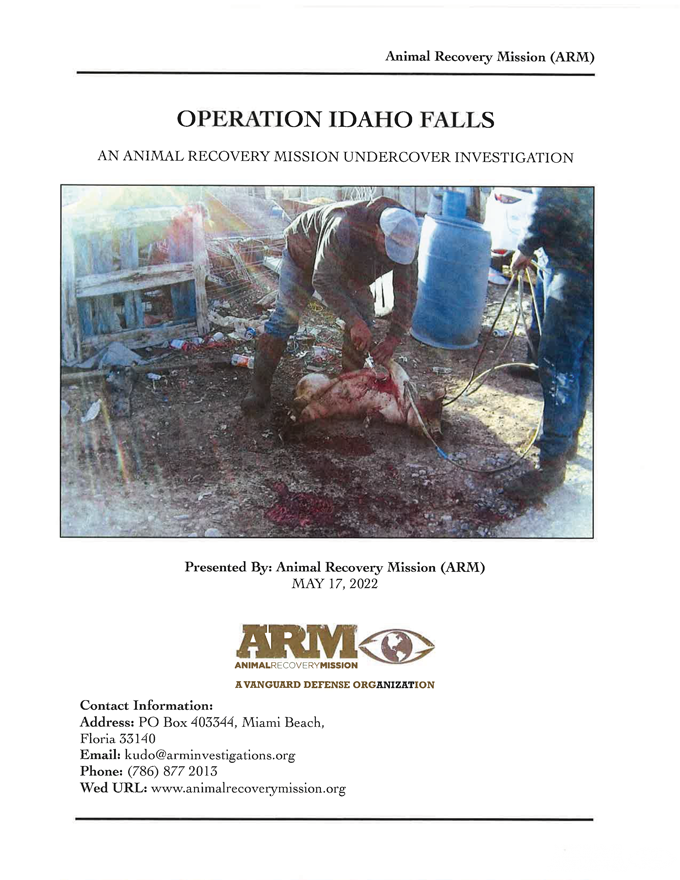 Operation Idaho Falls Full Report