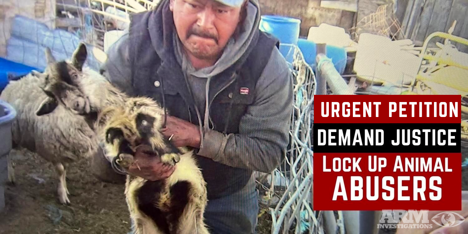 sign our urgent petition