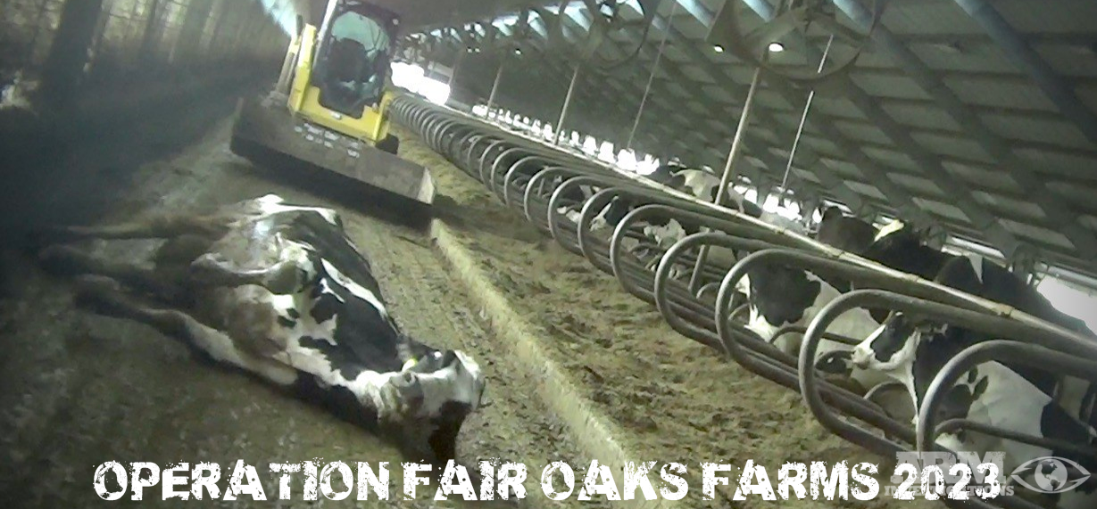 Fair Oaks Farms 2023