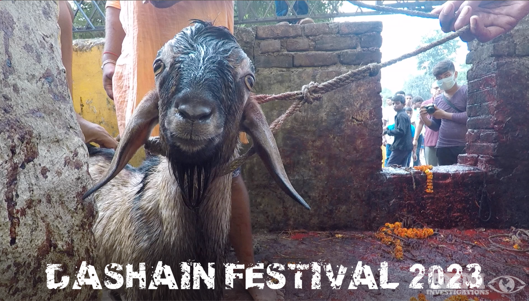 Dashain Festival 2023