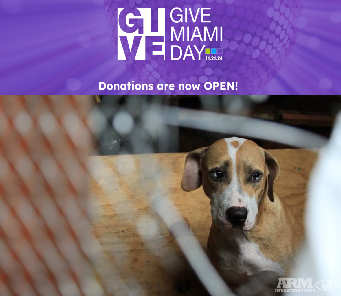 give miami day 2024