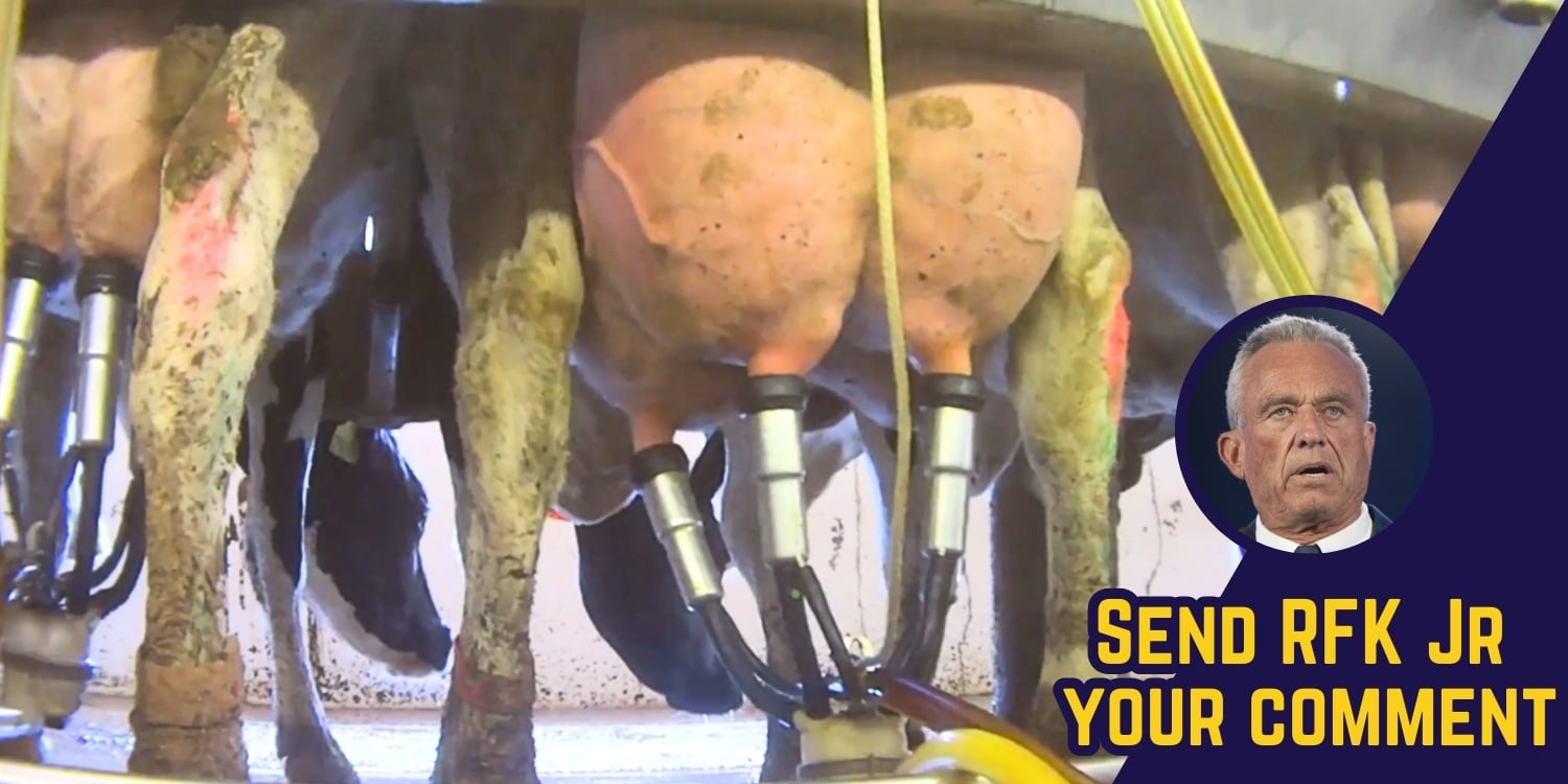 Stop Supporting Dairy