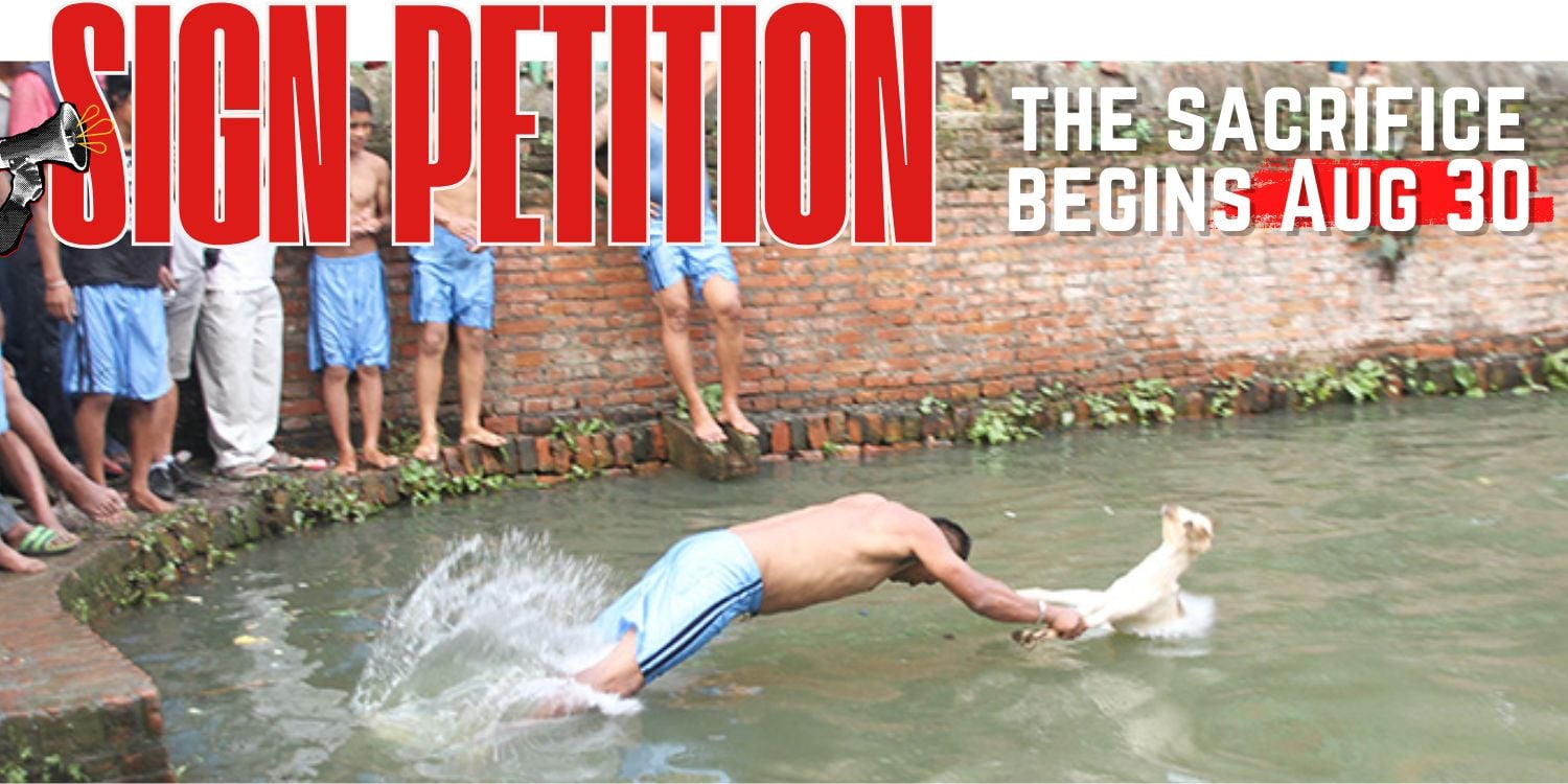 Stop Nepal's Deopokhari Animal Sacrifice Festival